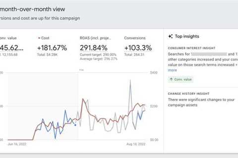 How to maximize insights from Performance Max