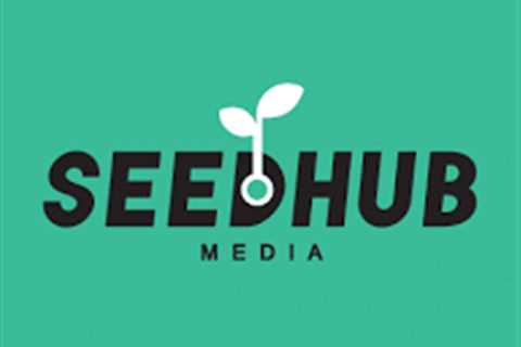 Seedhub Media: No.1 SEO Services | Top SEO Company | SEO ...