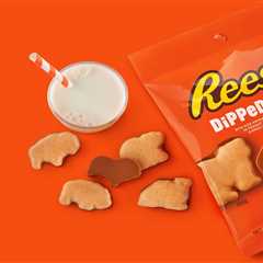 Brand New Reese's Covered Animal Crackers Just Dropped, And We Can't Wait to Be Kids Again