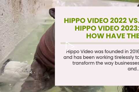 Hippo Video 2022 vs. Hippo Video 2023: How have the products changed?