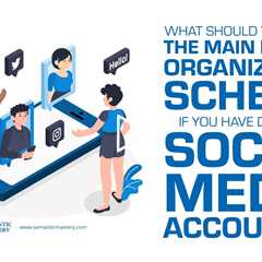 What Should You Put On The Domain Organisation Schema If You Have Different Social Media Accounts?