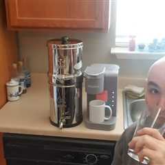 HOW TO USE? Phoenix Gravity Water Filter Daily Routine 1.5 Gallons Stainless Steel Countertop Filter
