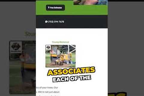 Googles Site Efficiency Rewards: Local SEO Strategy