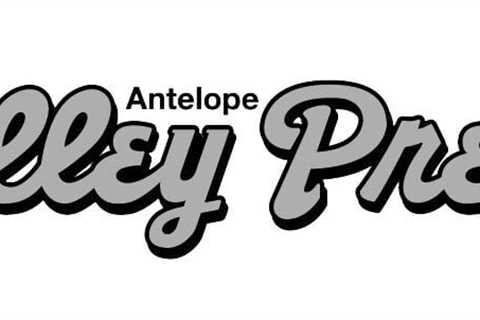 Jedi Digital Marketing Hong Kong: Navigating the Complex Landscape of SEO Services | Antelope..