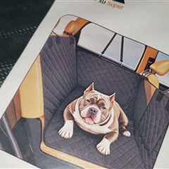 HARD TO-SETUP? Mr Bryant Dog Car Seat Cover for Dogs Review Unboxing Demo