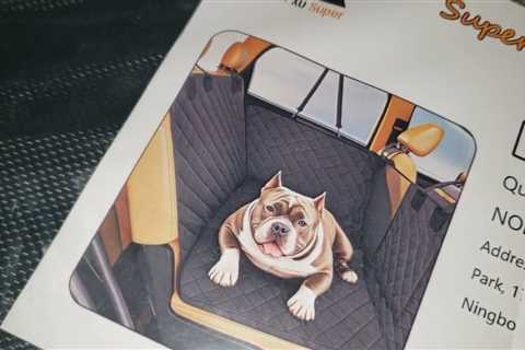 HARD TO-SETUP? Mr Bryant Dog Car Seat Cover for Dogs Review Unboxing Demo
